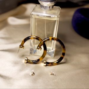 Tortoise Hoop Earrings
